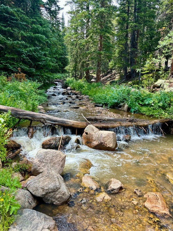 Jenny Creek Trail Trail Review Photo