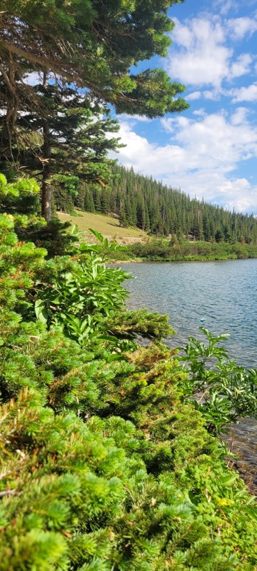 Jenny Creek Trail Trail Review Photo