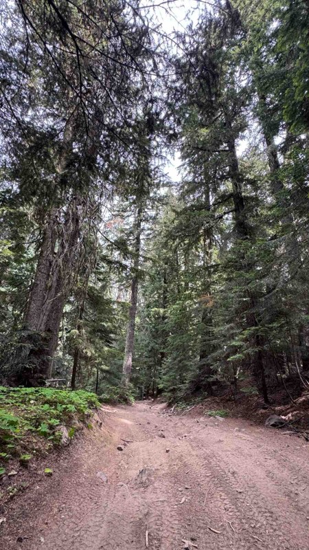 Naches Trail Trail Review Photo