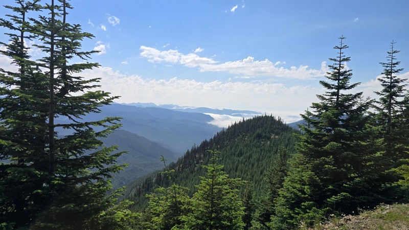 Naches Trail Trail Review Photo
