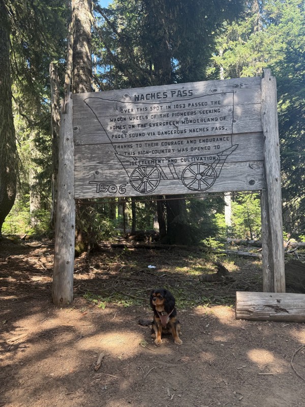 Naches Trail Trail Review Photo