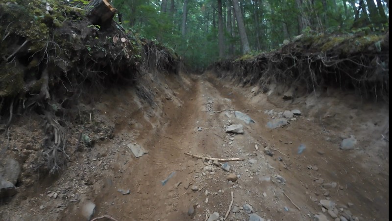 Naches Trail Trail Review Photo