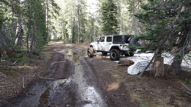 Fordyce Jeep Trail - Waypoint 3: Keep Right
