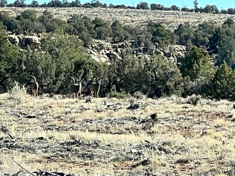 Sagers Bench Trail Review Photo