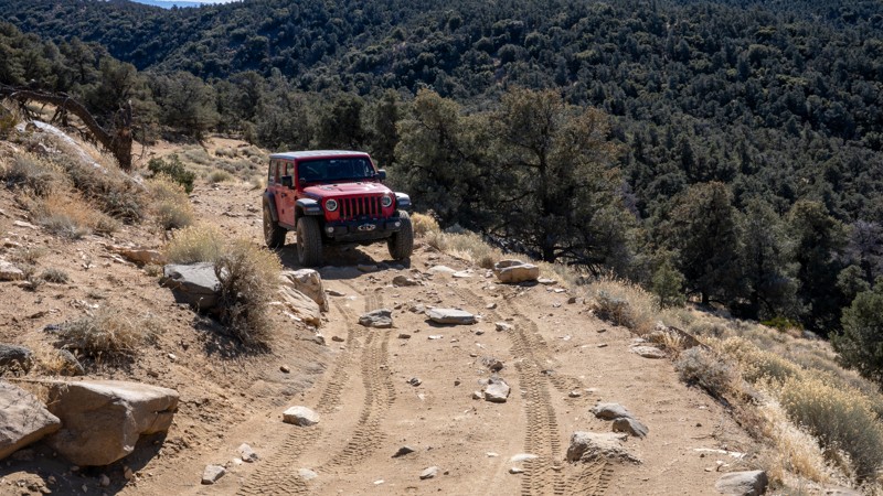 McIver's Jeep Road Trail Review Photo