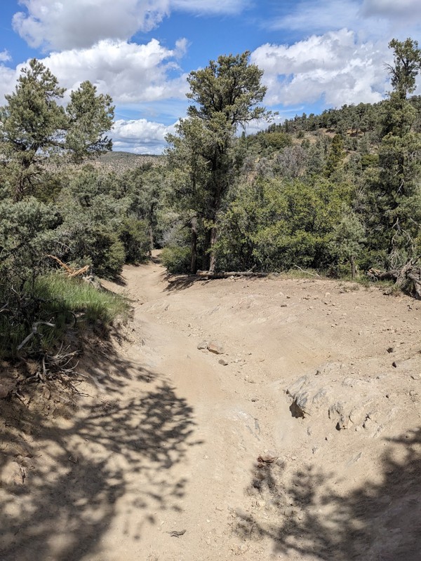 McIver's Jeep Road Trail Review Photo