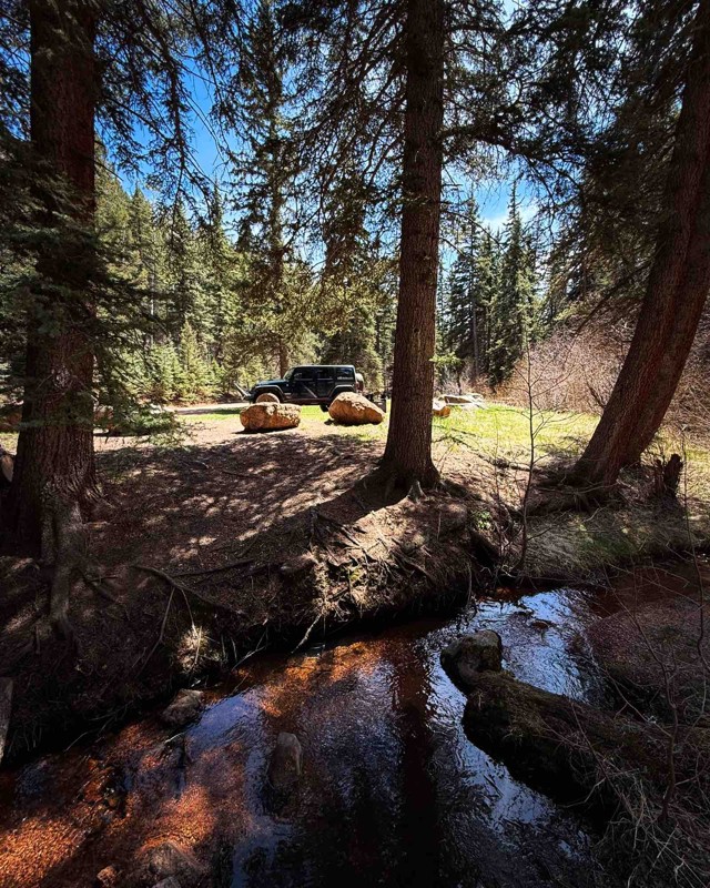 Upper Jackson Creek Road Trail Review Photo