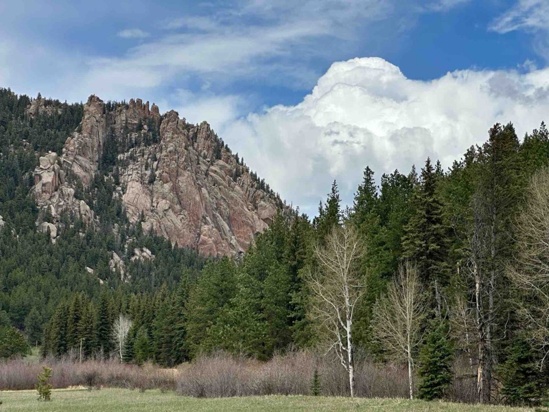 Upper Jackson Creek Road Trail Review Photo