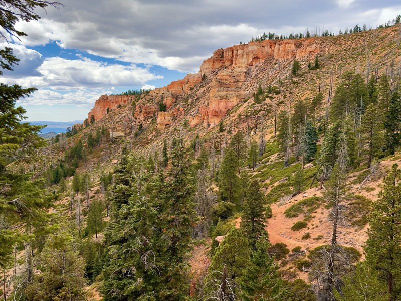 East Fork of the Sevier River Scenic Backway (Forest Service Road 087) Trail Review Photo