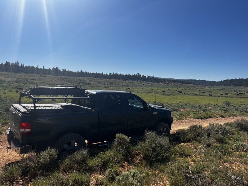 Trail Review: East Fork of the Sevier River Scenic Backway (Forest Service Road 087) - Chris