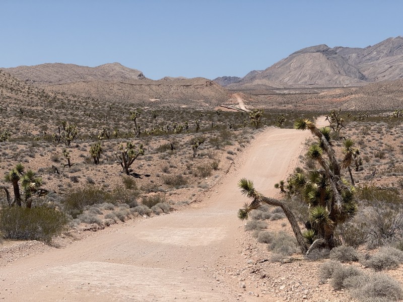 Gold Butte Backcountry Byway Trail Review Photo
