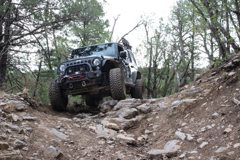 New Mexico: FR 12 - Cibola National Forest Hero Photo