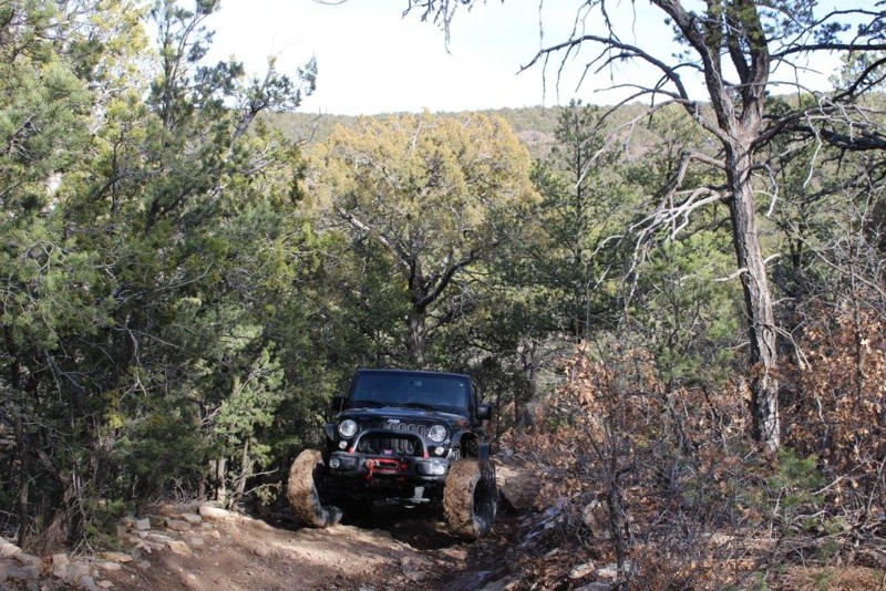 New Mexico: Meadow Ridge Trail 05627 Hero Photo