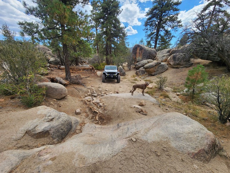 The Squeeze Trail Review Photo