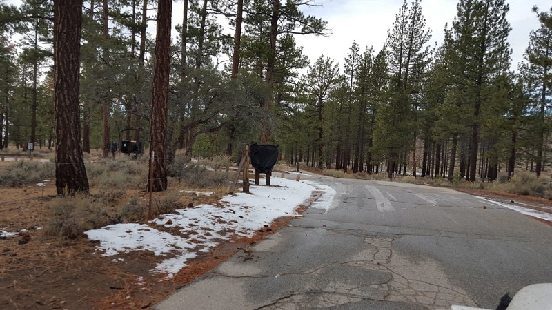 3N14 - Coxey Road - Waypoint 14: Big Pine Flats Campground