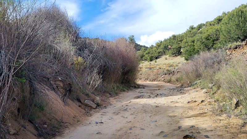 Fourmile Area: Shields / McGee Loop Trail Review Photo