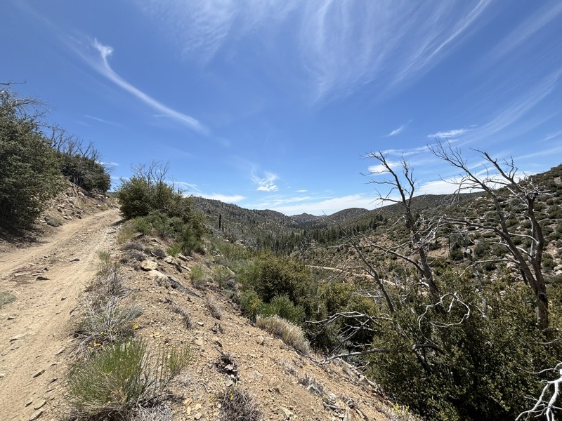 3N08 - Holcomb Creek Road Trail Review Photo