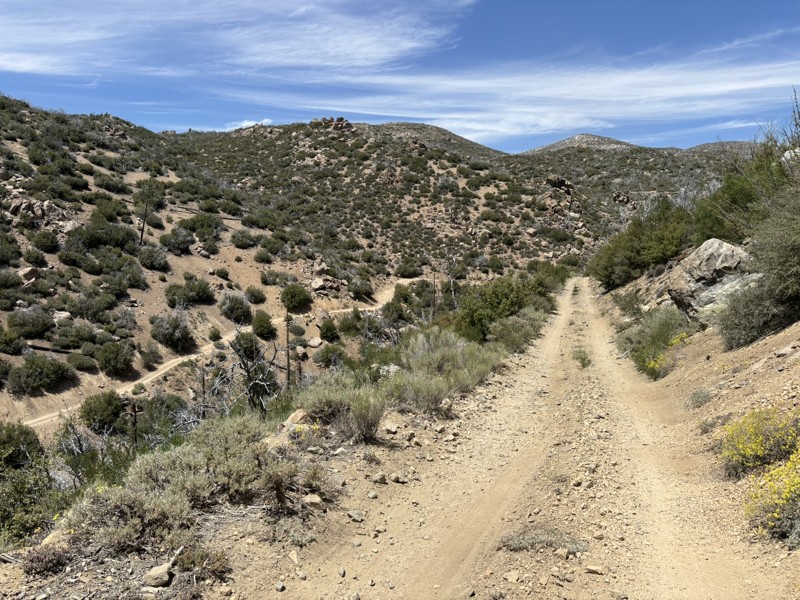 3N08 - Holcomb Creek Road Trail Review Photo