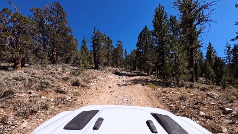 3N08 - Holcomb Creek Road Trail Review Photo