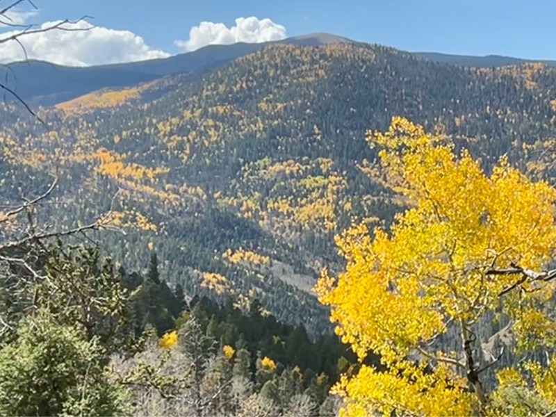 Old Red River Pass Trail Review Photo