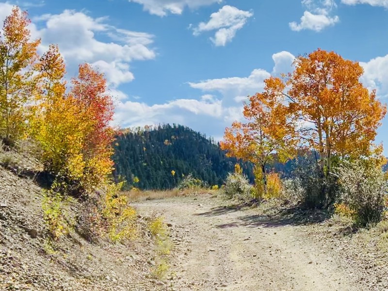 Old Red River Pass Trail Review Photo