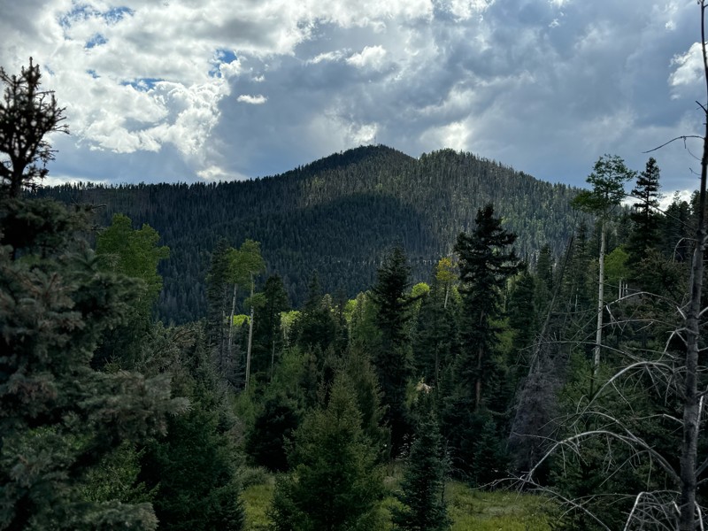 Greenie Peak Trail Review Photo