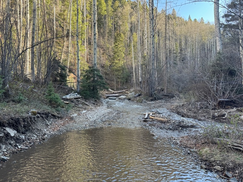 Pioneer Creek Trail Review Photo