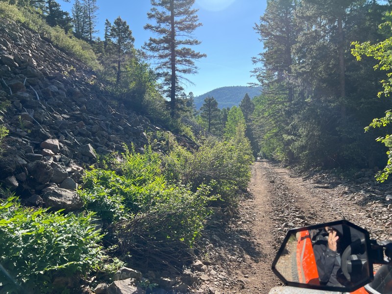 Pioneer Creek Trail Review Photo
