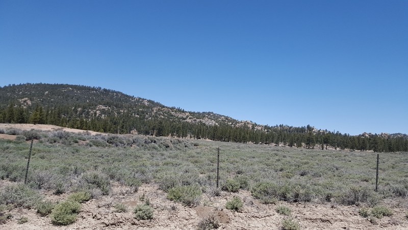 Gold Fever Trail - Waypoint 8: Belleville