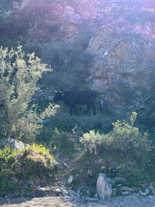 Reymert Mine Trail Review Photo