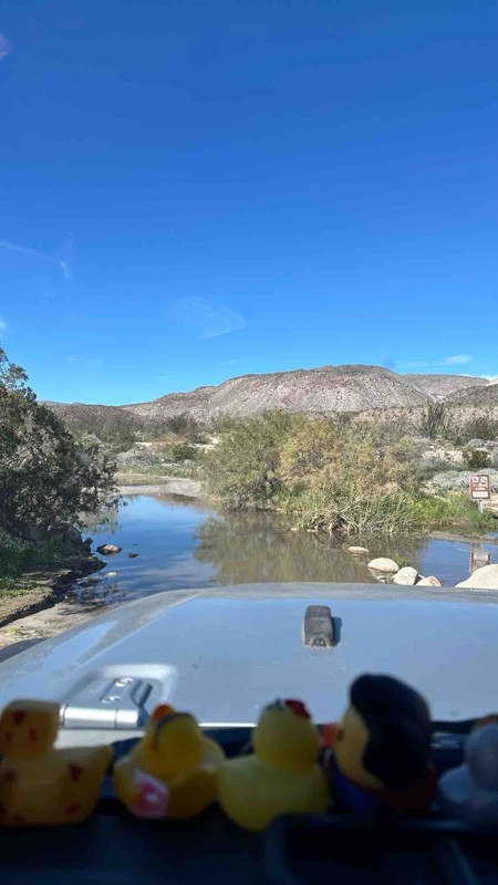 Coyote Canyon Road Trail Review Photo