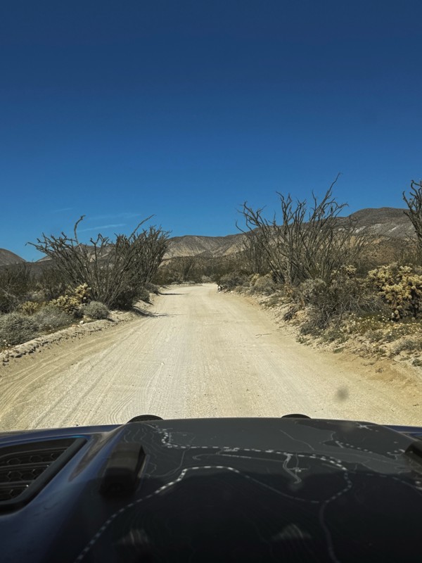 Coyote Canyon Road Trail Review Photo