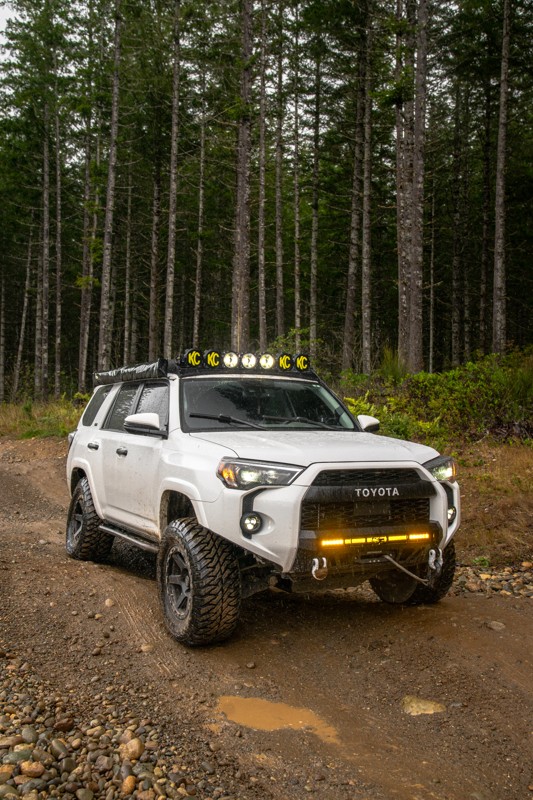 Tahuya / Trail 55 Trail Review Photo