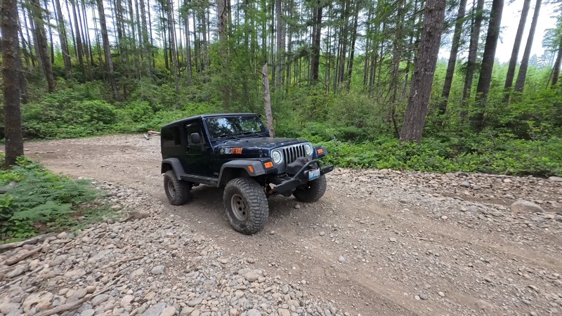 Tahuya JBX Trail Review Photo