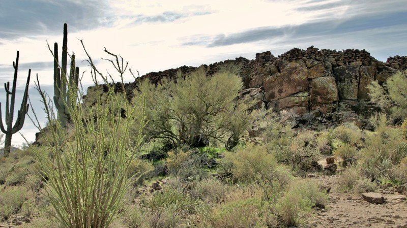 Arizona: Indian Fort Hero Photo