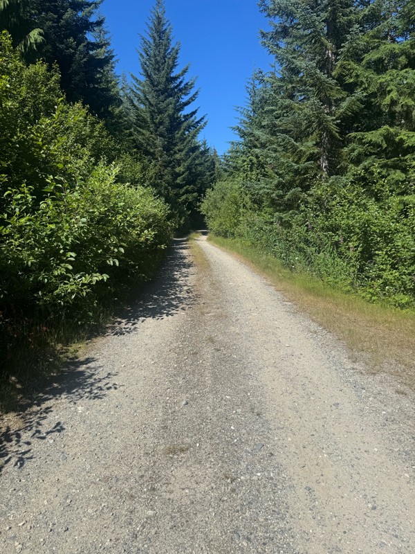 Tonga Ridge Trail Review Photo