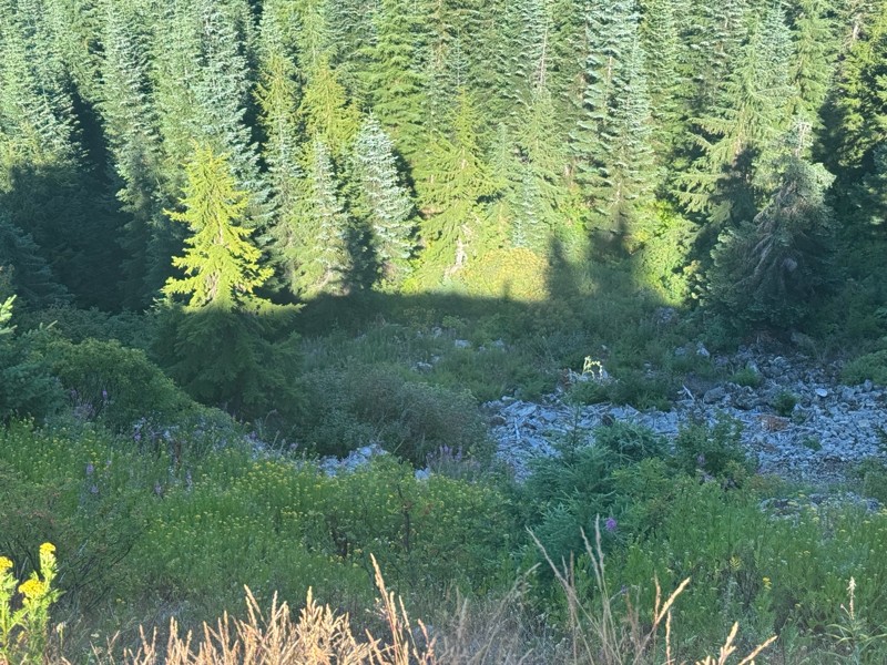 Tonga Ridge Trail Review Photo