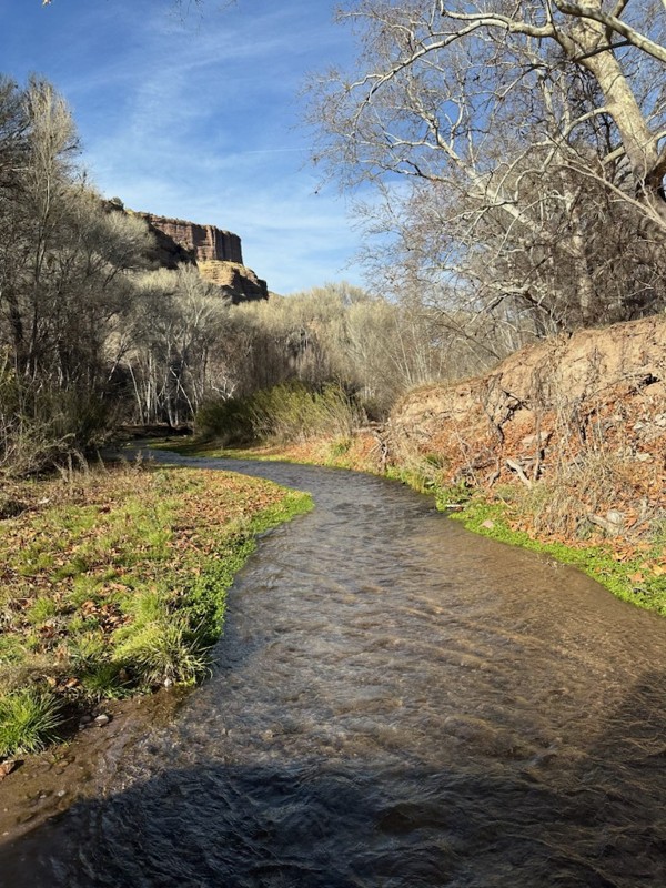 Rug Road Trail Review Photo