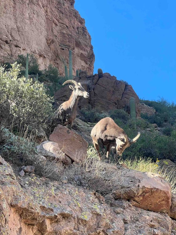 Apache Trail Trail Review Photo