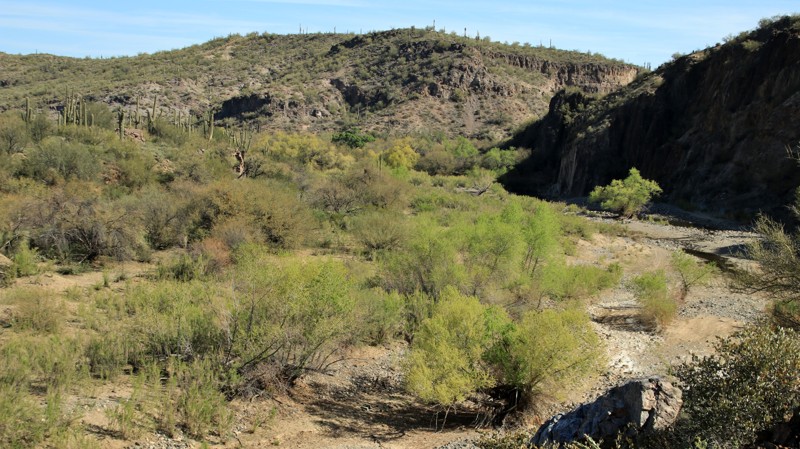 Arizona: Little Grand Canyon Hero Photo