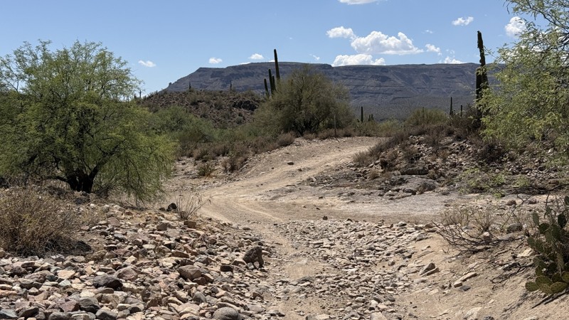Little Grand Canyon Trail Review Photo