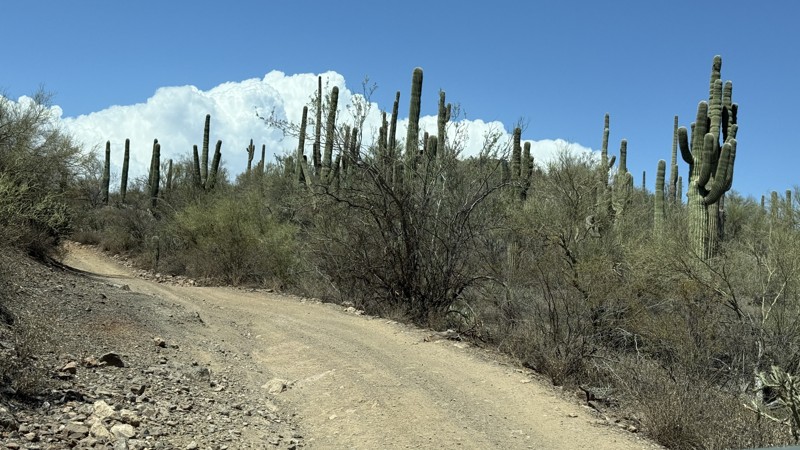 Little Grand Canyon Trail Review Photo