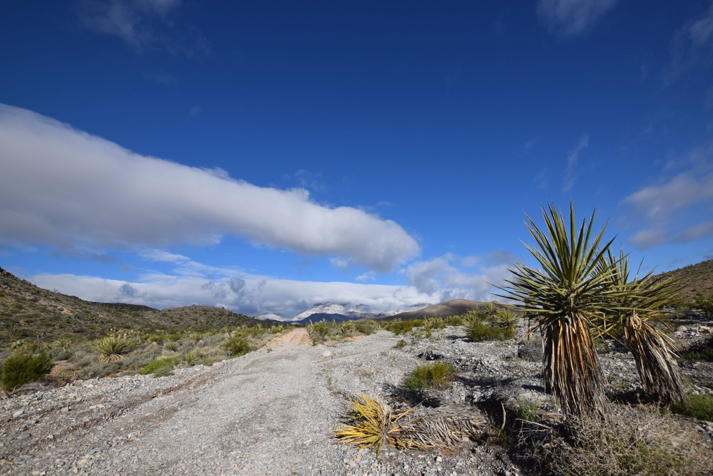 Sawmill Road West - Best Trails