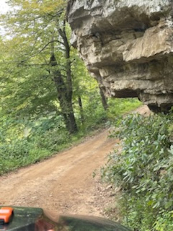 Carwash Falls Trail Review Photo