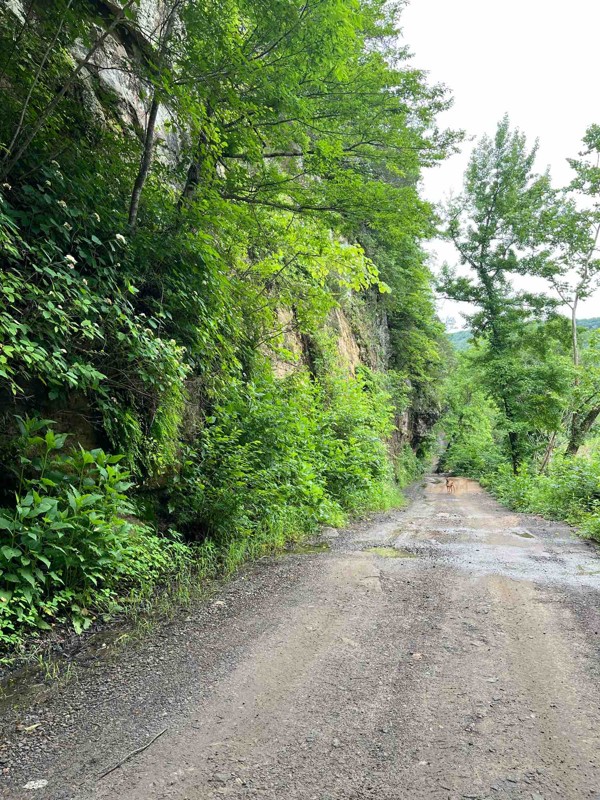 Carwash Falls Trail Review Photo