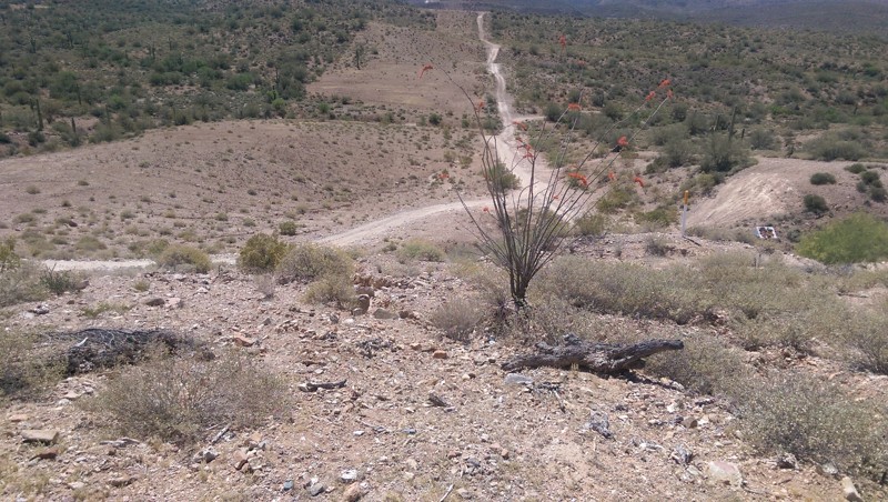 Arizona: TMRA Pipeline Trail Hero Photo
