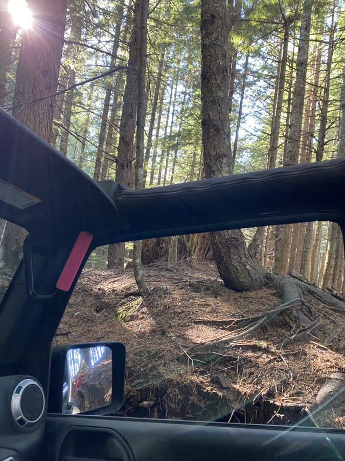 Trail Review: Evans Creek / Trail #102 - Angela Rickerson