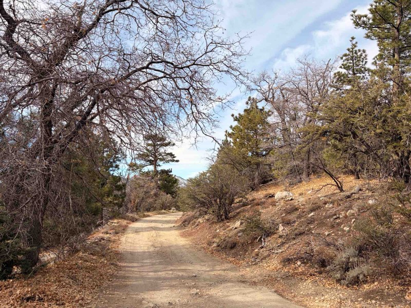 2N71 Trail Review Photo