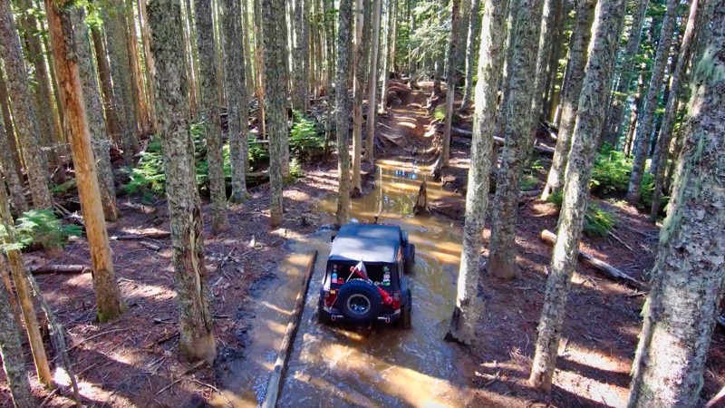 Washington: Evans Creek / Trail #197 Hero Photo