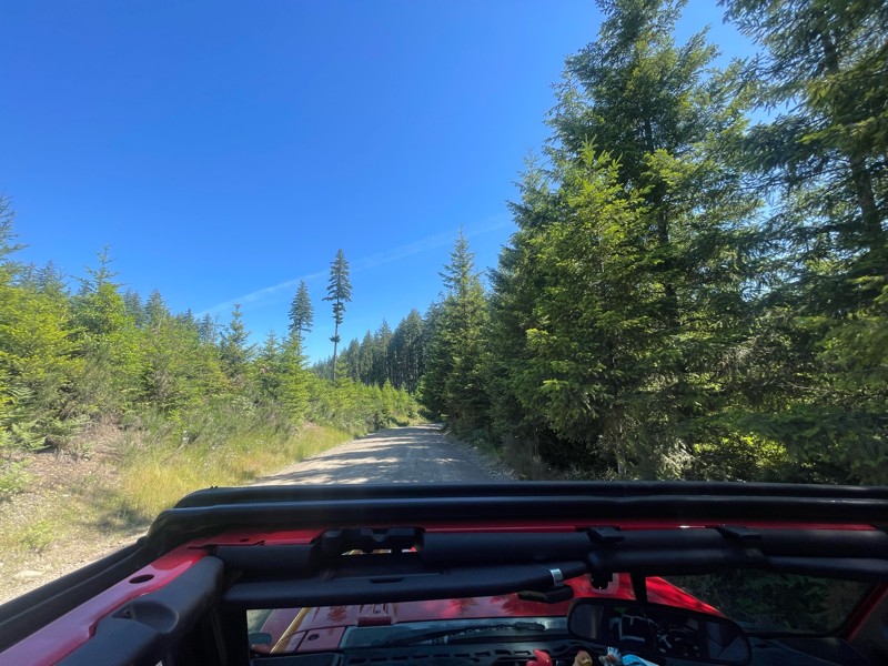 Tahuya 84N Trail Review Photo